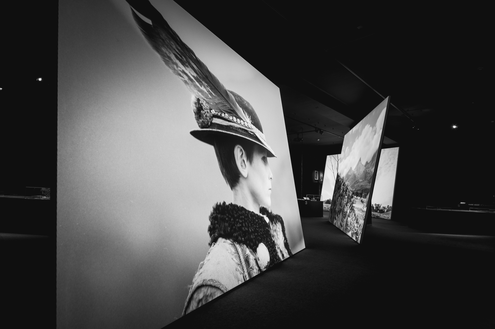 NZ6 2324 DxO DeepPRIME XD2s